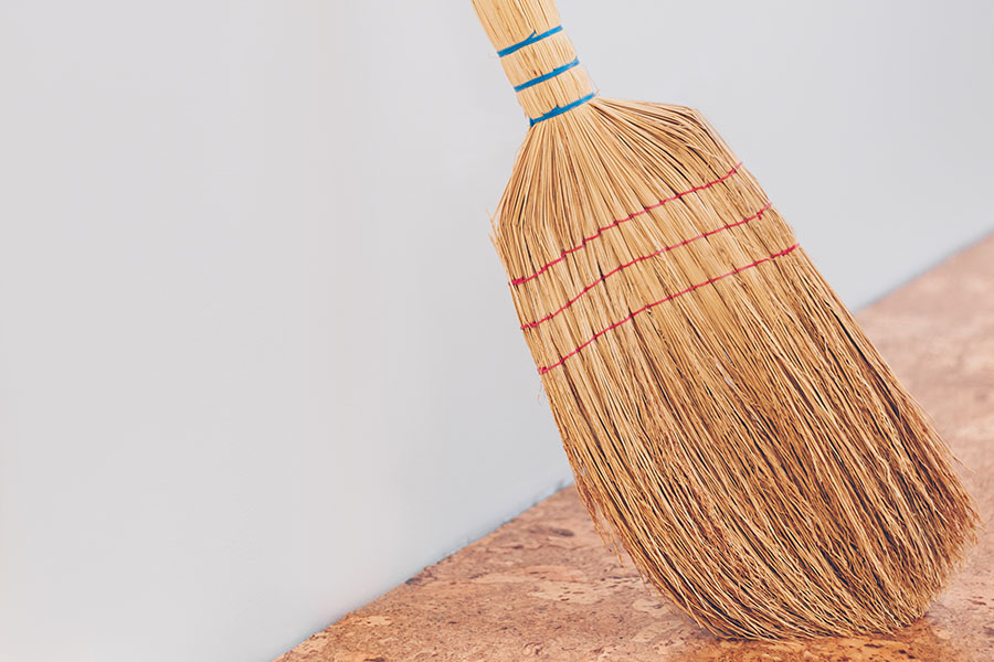 Home: Wood Handle Straw Hand Broom